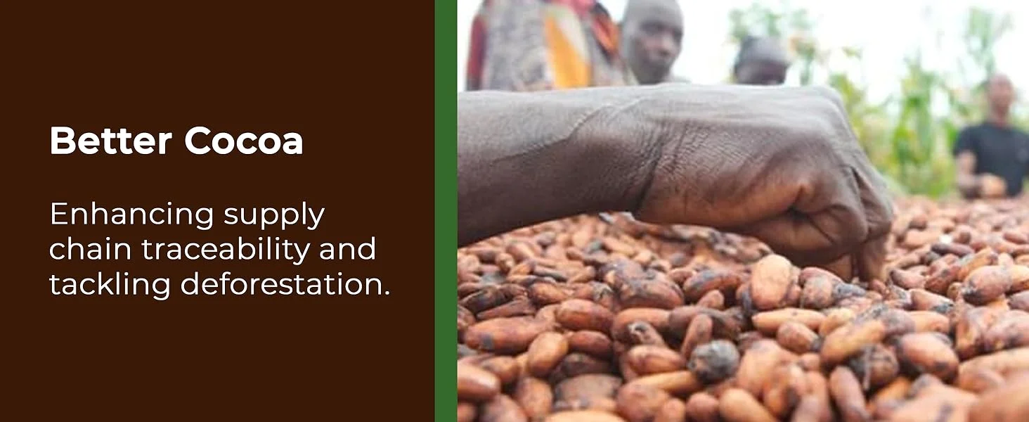 【Exclusive for New Users】Nestlé KitKat & Friends Large Gift Box | 69 Chocolate Biscuits – KitKat, Blue Ribbon, Toffee Crunch | Loose Chocolate Gift Box 1.357kg x 2 Boxes