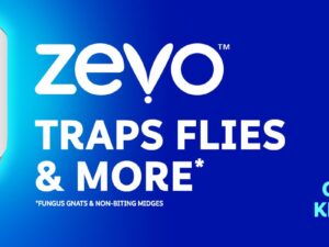 Zevo 2 Flying Insect Traps & 2 Refill Cartridges - Plug in Fly Trap & Indoor Bug Catcher for Gnats. House & Fruit Flies - Blue & UV Light Technology. Mess-Free Alternative to Bug Zapper