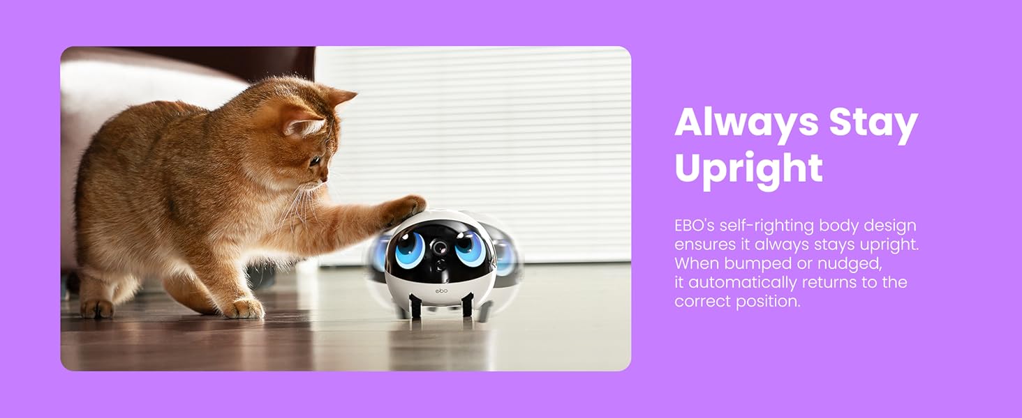 Enabot EBO Air 2 Plus FamilyBot 3K Home Camera Robot: Indoor Camera. Movable Robot Companion. 2-Way Video. AI Chat Mode. Auto-Recharge. Long Battery Life. Custom Facial Image. Night Vision