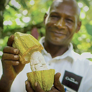 Hotel Chocolat - Everything Sleekster,355 Grams