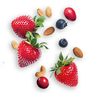 【Limited-Time Offer】KIND Energy Bars – 12-Pack, Dark Chocolate, Nut & Sea Salt Flavor | 6g Protein, Low Sugar, Gluten-Free