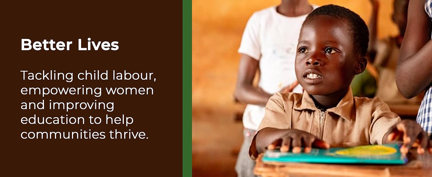 【Limited-Time Offer】Nestlé KitKat & Friends Extra-Large Biscuit Gift Box | 69 Chocolate Biscuit Sticks – KitKat, Blue Ribbon, Toffee Crunch | 1.357kg per Box