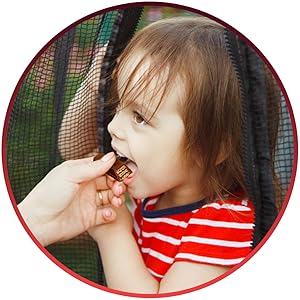 Assorted Chocolate Bulk Box (5-6 Pounds, 150 Pieces)